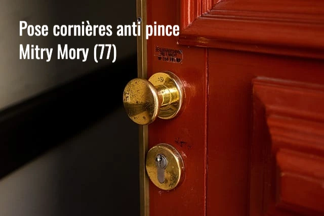 Serrurier Mitry Mory : pose de cornieres anti pince